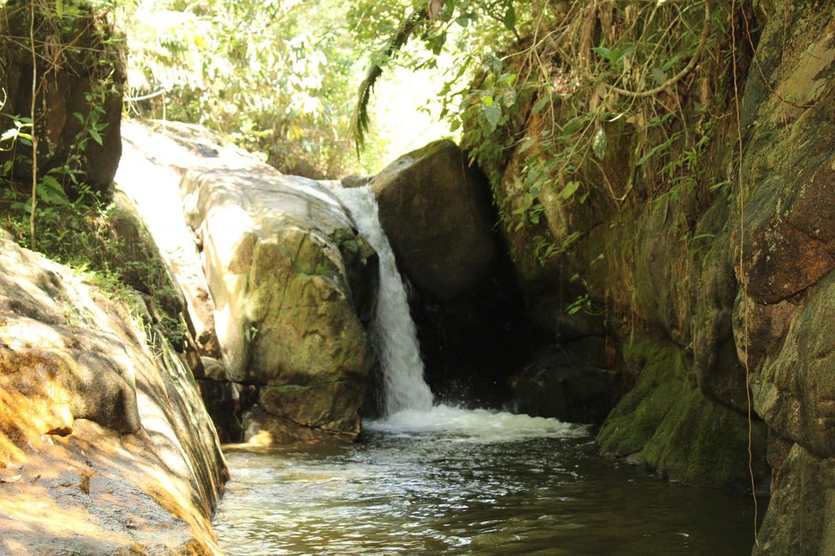 Cachoeira caindo num poço de águas claras, cercada pela mata preservada da fazenda