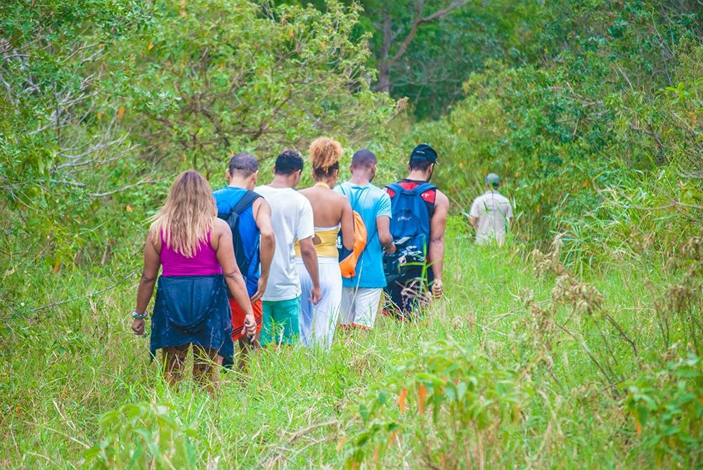 Grupo de caminhantes de costas, com mochilas, atravessando um caminho aberto no capim alto em direção à mata, durante o evento A Gosto de Caminhar na Fazenda dos Cordeiros