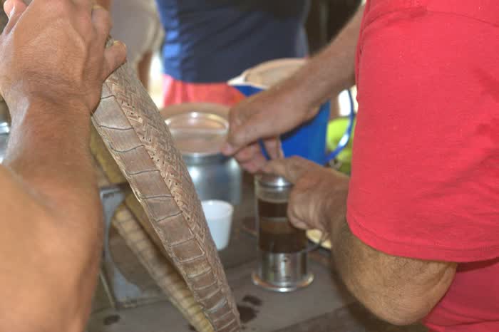 Mãos segurando a peneira de palha trançada usada para abanar o café, com a prensa e as xícaras ao fundo